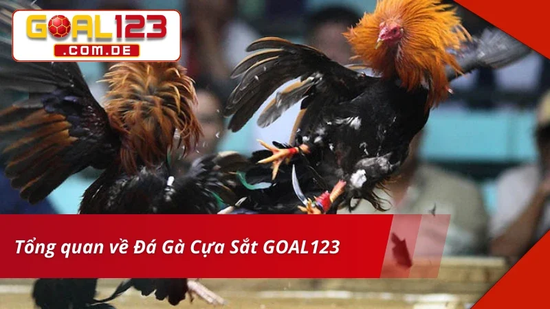 Đá Gà Cựa Sắt GOAL123 – Trường Gà Trực Tuyến Siêu Chất Lượng 2 Đôi nét về trải nghiệm Đá Gà Cựa Sắt tại nhà cái