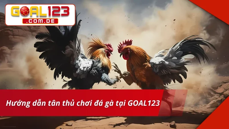 Đá Gà Cựa Sắt GOAL123 – Trường Gà Trực Tuyến Siêu Chất Lượng 4 Tân thủ bet kèo Đá Gà Cựa Sắt siêu đơn giản
