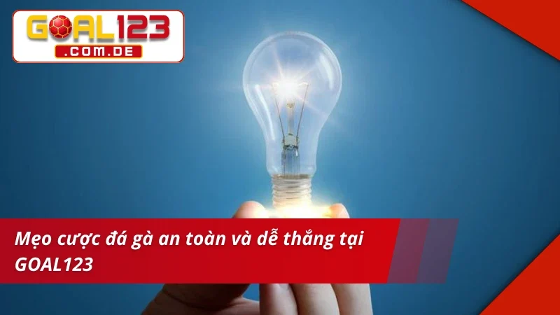 Đá Gà Cựa Sắt GOAL123 – Trường Gà Trực Tuyến Siêu Chất Lượng 6 Mẹo chinh phục thắng lớn cùng Đá Gà Cựa Sắt